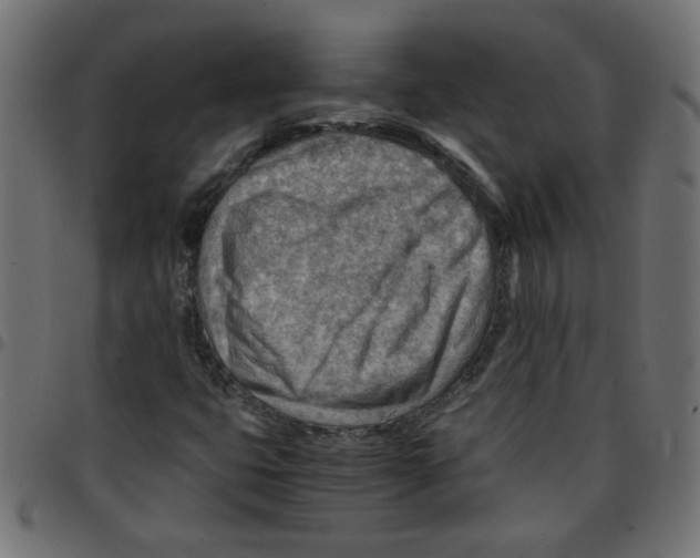 X0000096941399200803070955