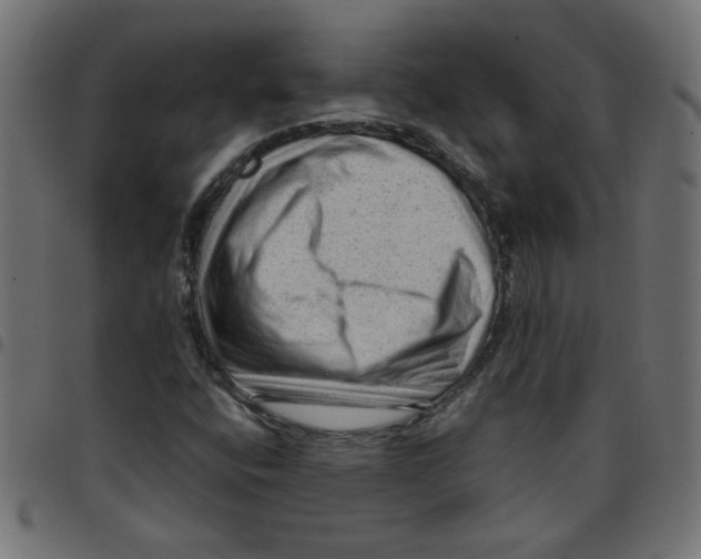 X0000096941400200803070955