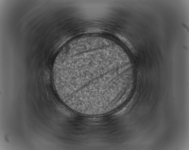 X0000096941401200803070955