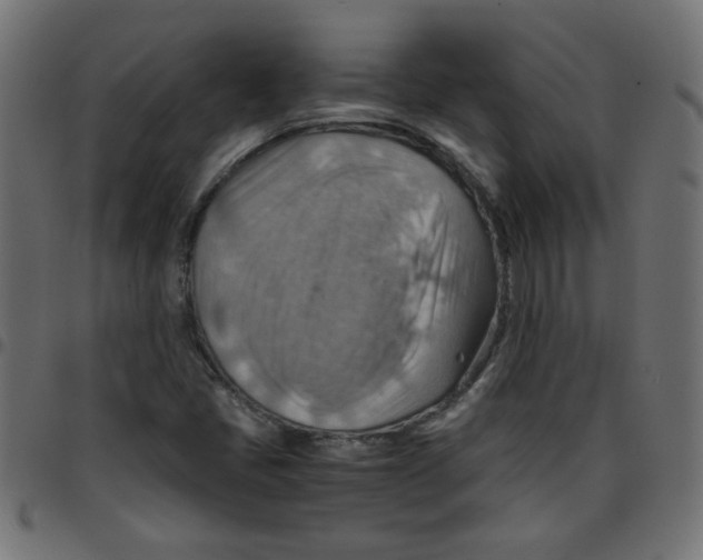 X0000096941405200803070955