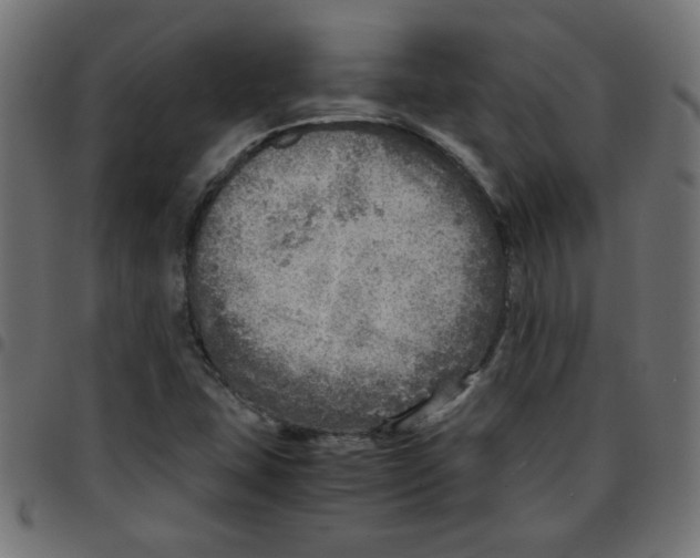 X0000096941407200803070955