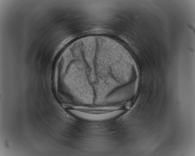 X0000096941410200803070955