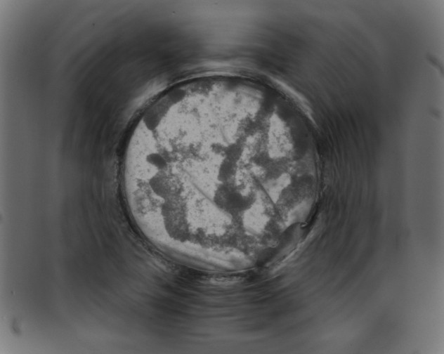 X0000096941411200803070955