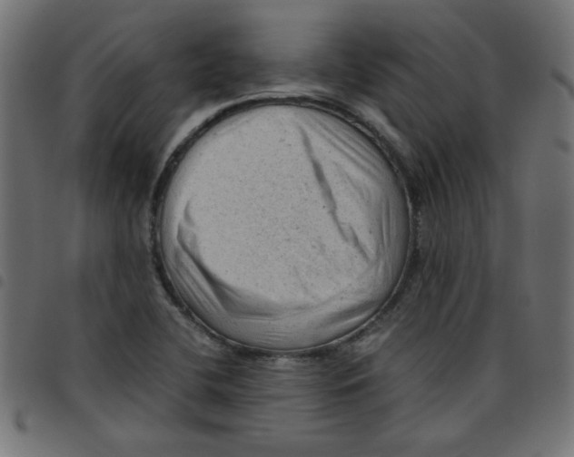 X0000096941412200803070955