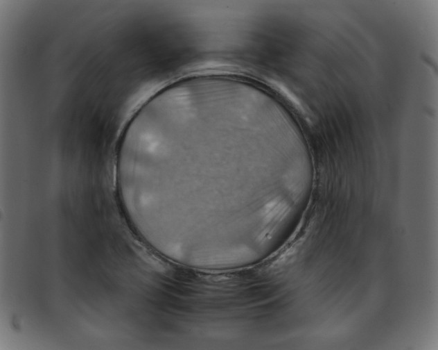 X0000096941413200803070955