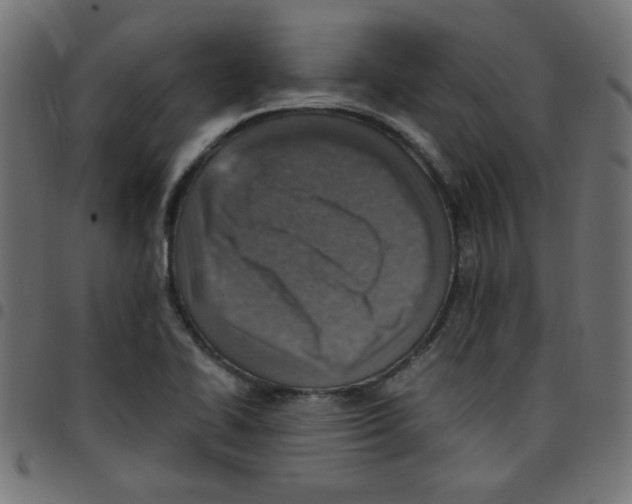 X0000096941414200803070955