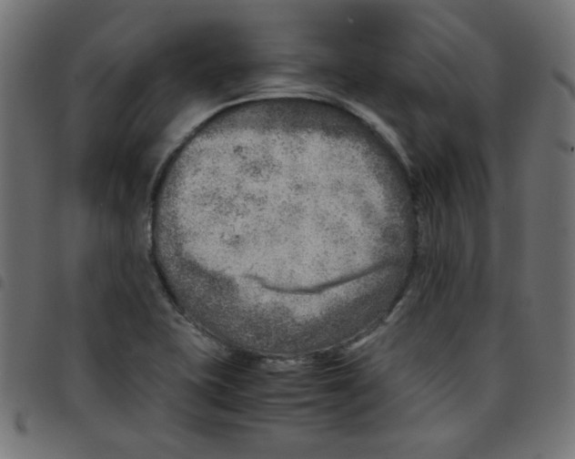 X0000096941415200803070955