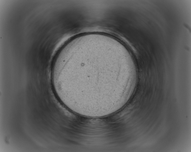 X0000096941416200803070955