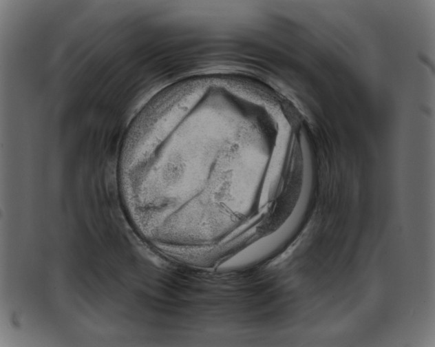 X0000096941417200803070955