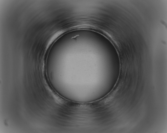 X0000096941418200803070955