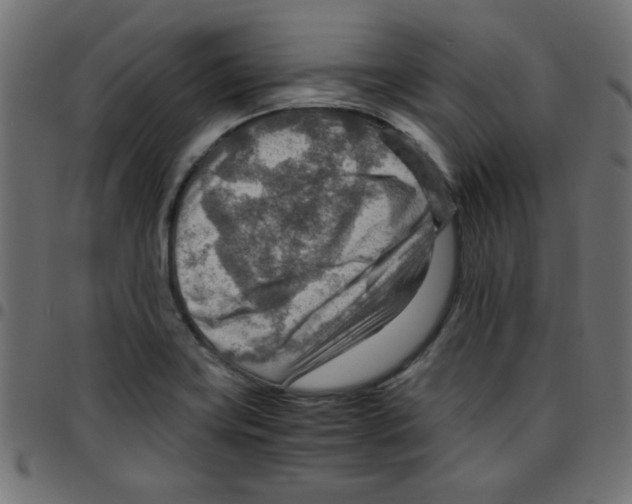 X0000096941419200803070955