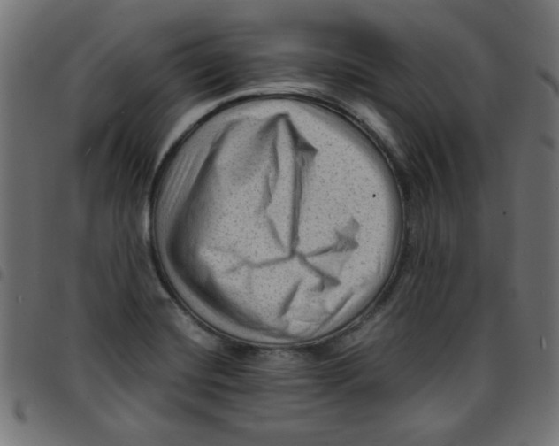 X0000096941420200803070955