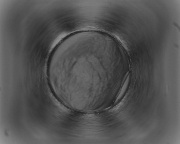 X0000096941422200803070955