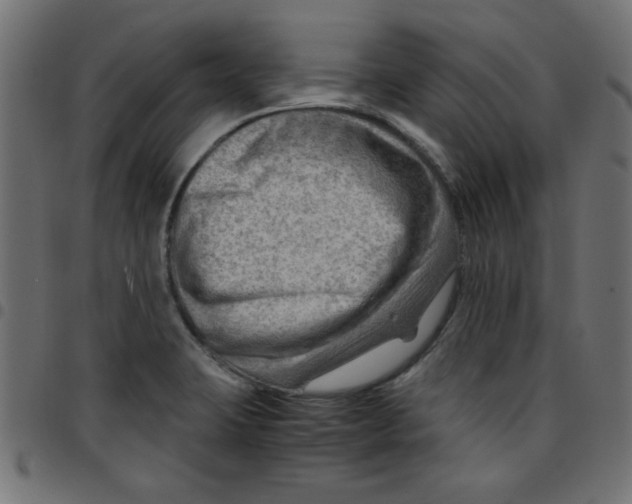 X0000096941423200803070955