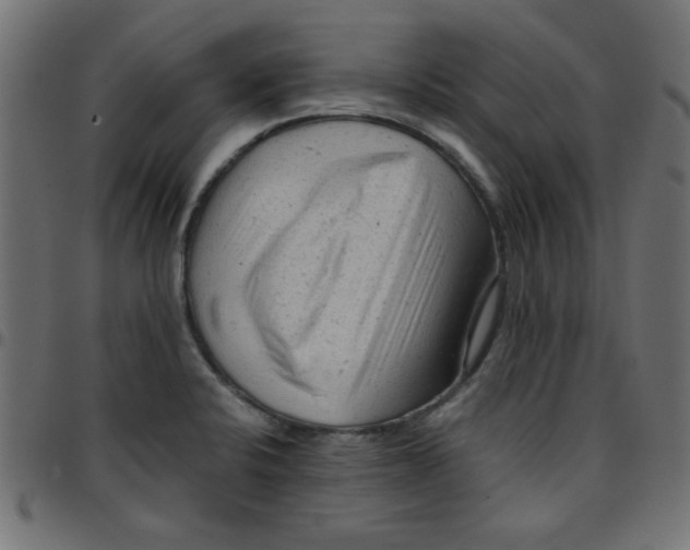 X0000096941424200803070955