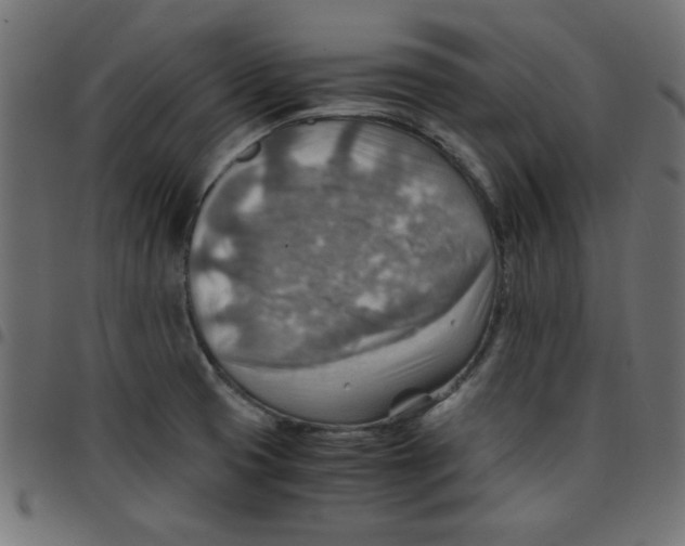 X0000096941425200803070955