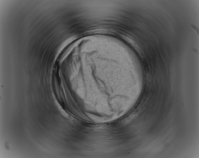 X0000096941426200803070955