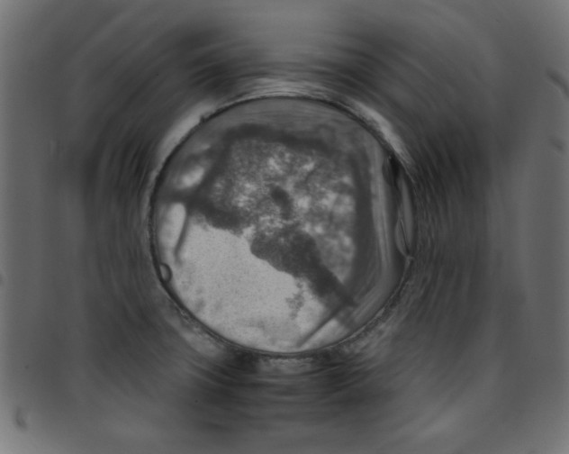 X0000096941427200803070955