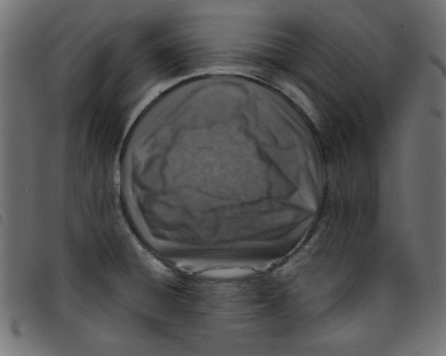 X0000096941428200803070955