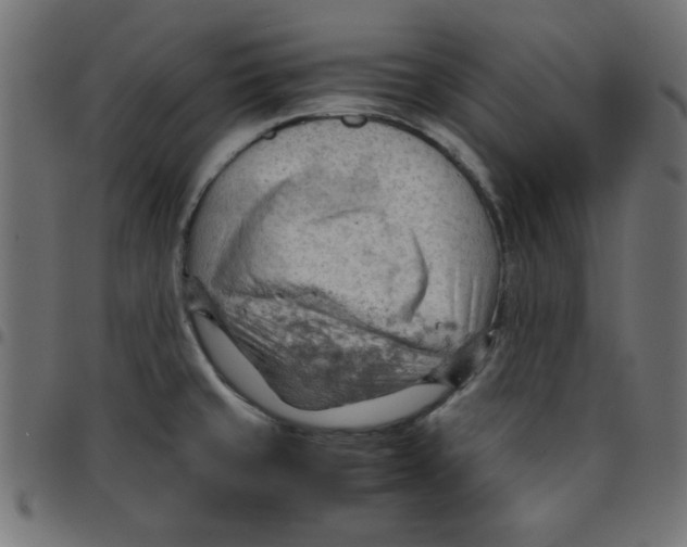 X0000096941429200803070955