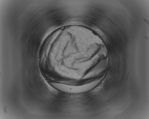 X0000096941430200803070955