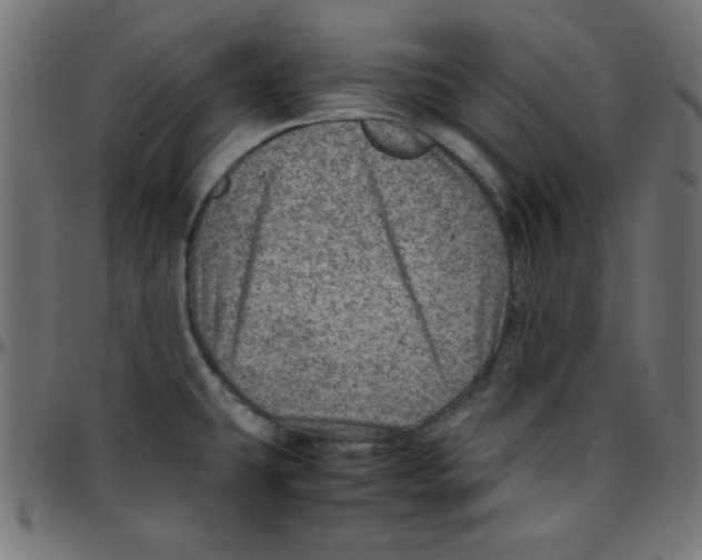 X0000096941431200803070955