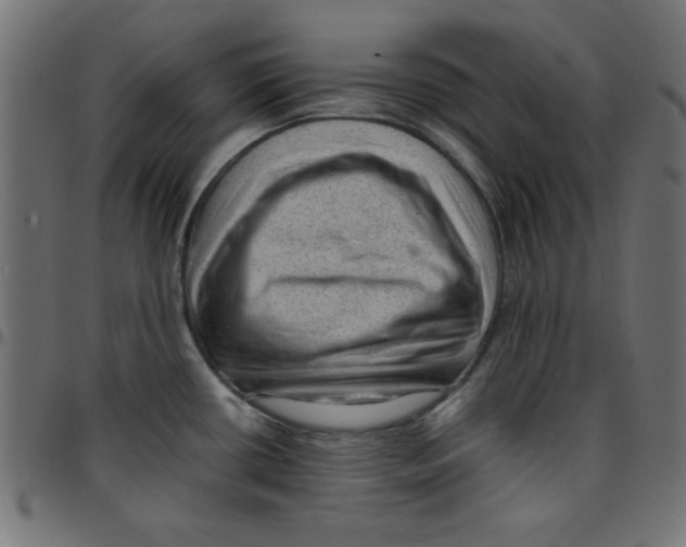 X0000096941434200803070956