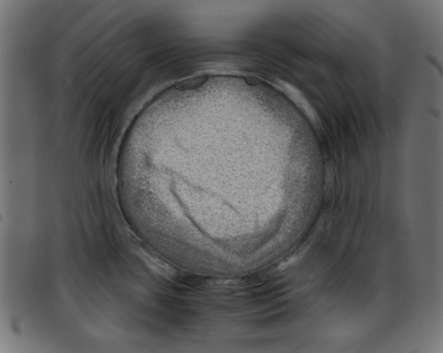 X0000096941435200803070956