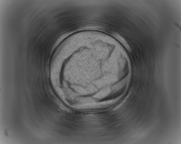 X0000096941436200803070956