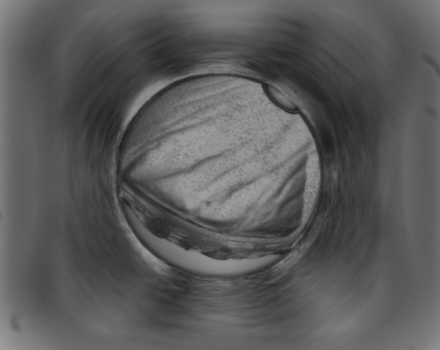 X0000096941438200803070956