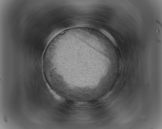 X0000096941439200803070956