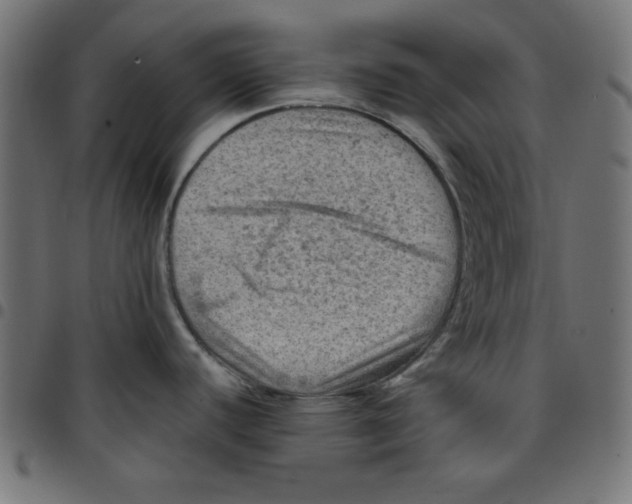 X0000096941440200803070956