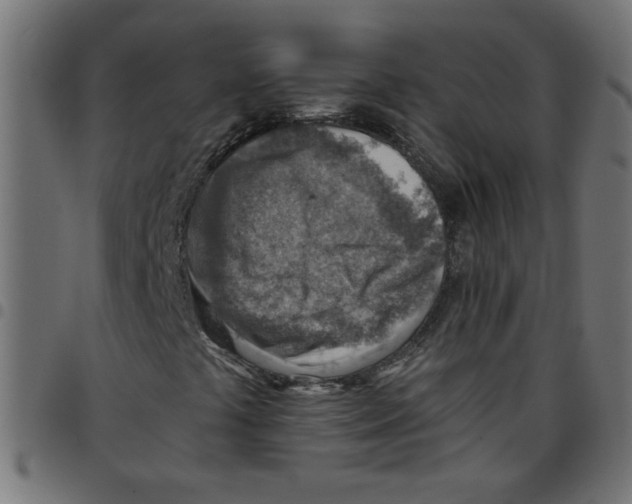 X0000096941441200803070955