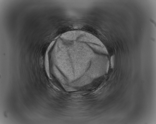 X0000096941443200803070955