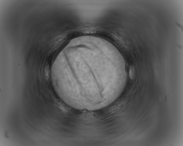 X0000096941444200803070955