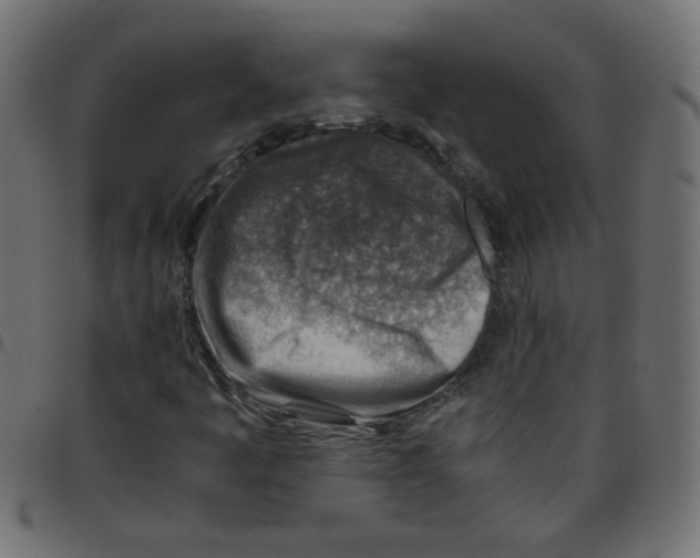 X0000096941445200803070955