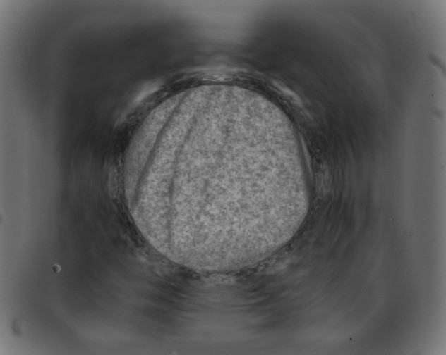 X0000096941446200803070955