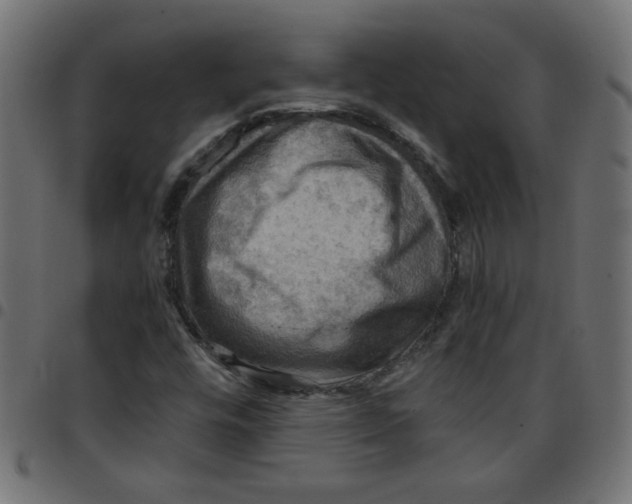 X0000096941448200803070955