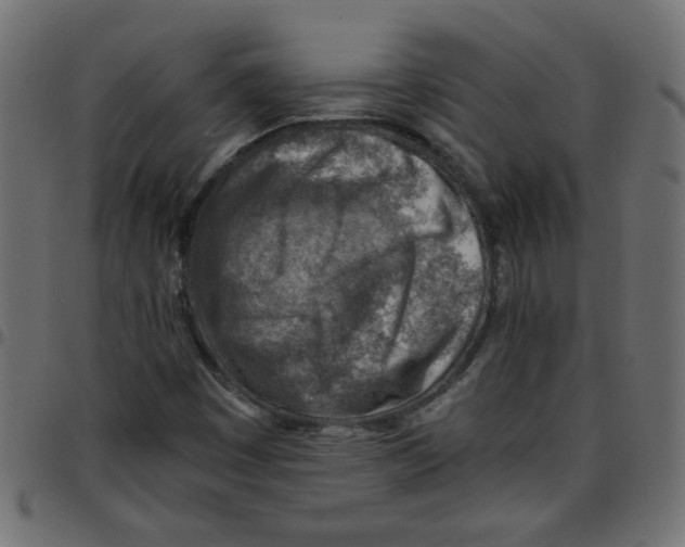 X0000096941449200803070955