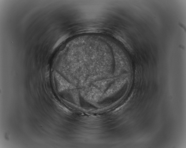 X0000096941450200803070955