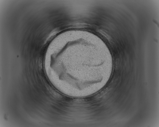 X0000096941451200803070955