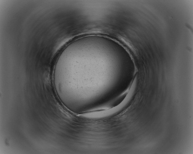 X0000096941452200803070955