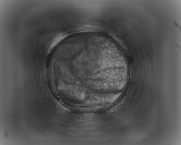 X0000096941453200803070955