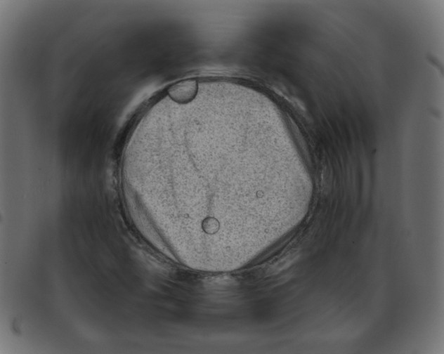 X0000096941454200803070955