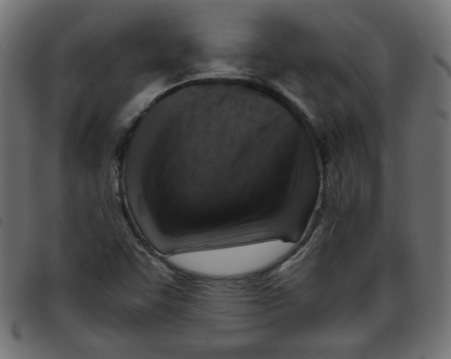 X0000096941455200803070955