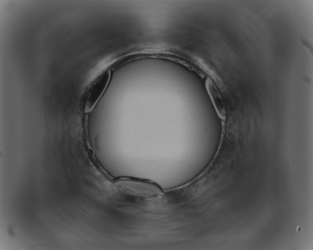 X0000096941456200803070955