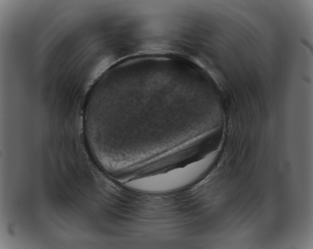 X0000096941459200803070955