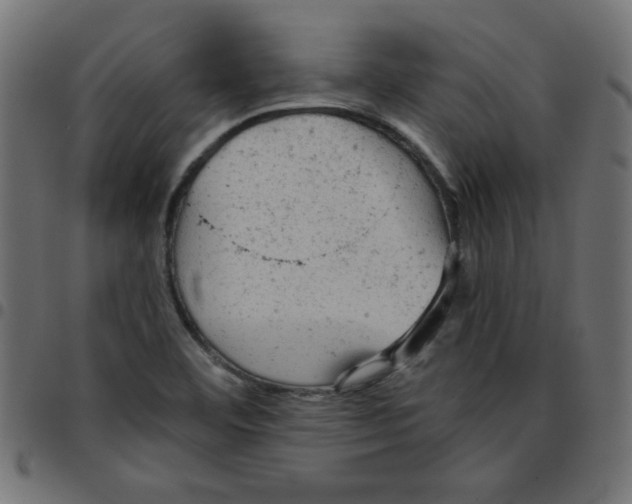 X0000096941460200803070955