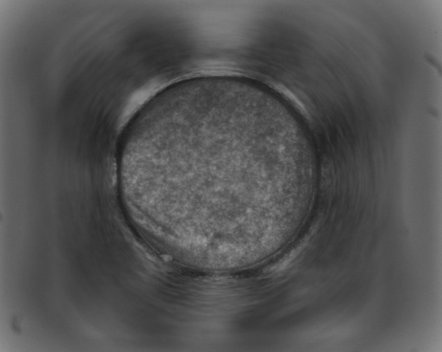 X0000096941461200803070955