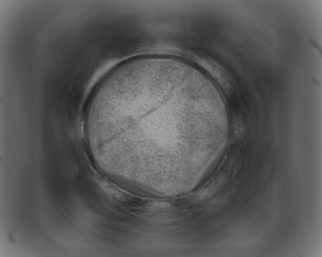 X0000096941462200803070955